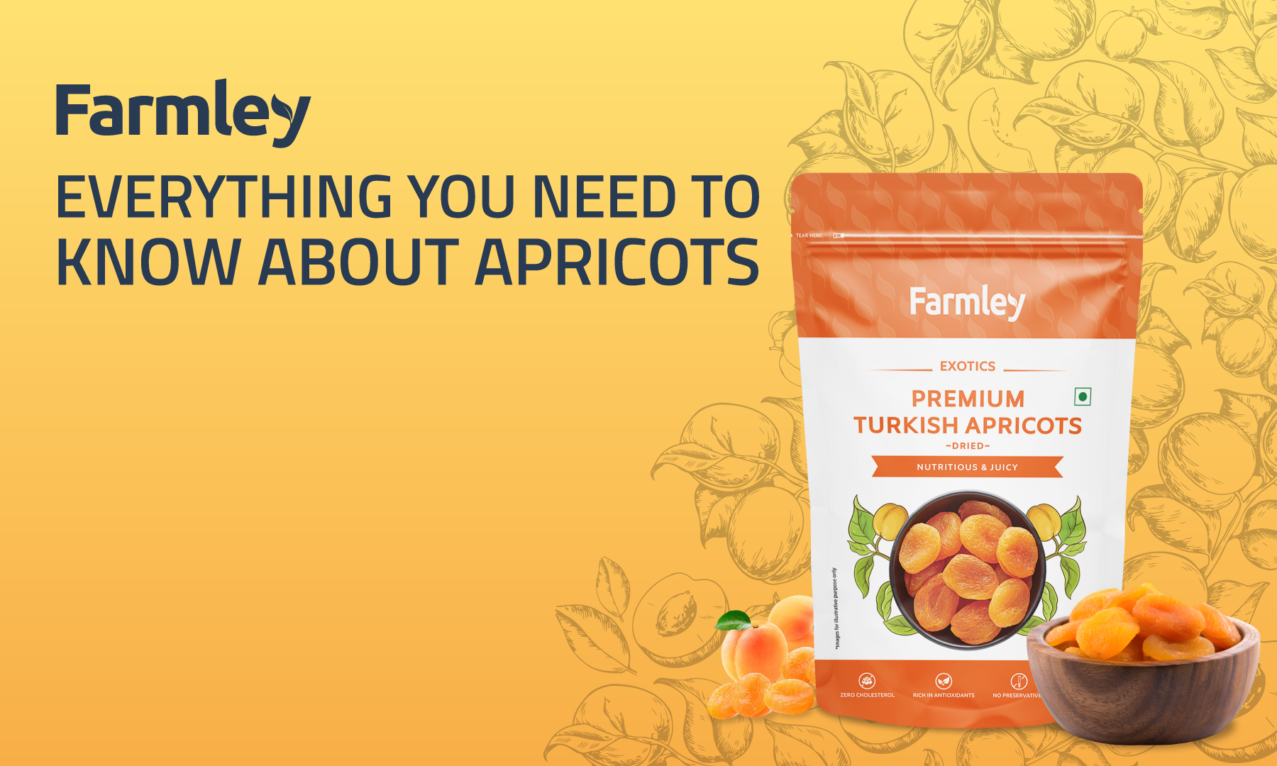 Beginner’s Guide To Apricot (खुबानी)